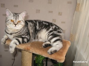 IMG_0162.jpg