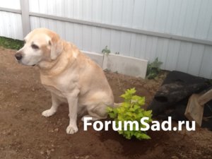 image.jpeg