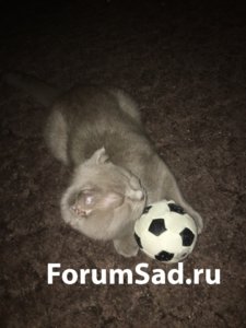 ucDrqRUaxiQ.jpg
