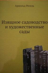 IMG_5126.JPG