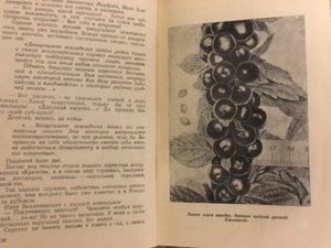 k05-8aoSZOY (1).jpg