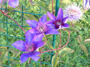 DSCN3194.JPG