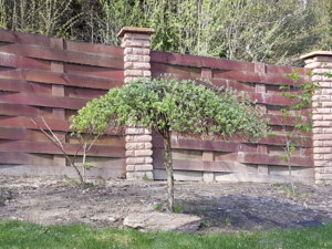 20170509_101641.jpg