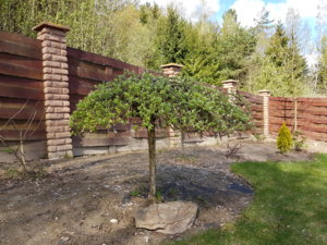 20170509_101753.jpg