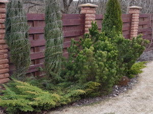 20170317_150142.jpg