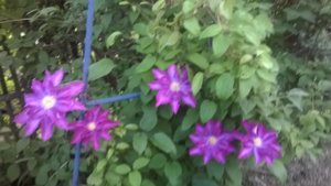 WP_20150628_011.jpg