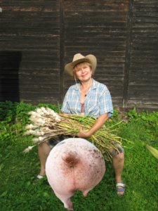 чесно.jpg