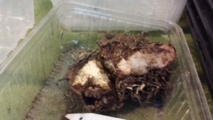 20160303_114534.jpg