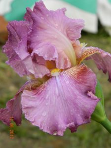 DSCN1216.jpg