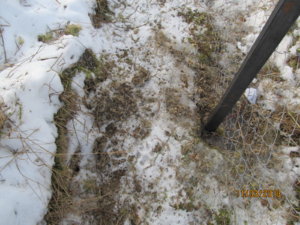 IMG_0126.JPG
