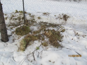 IMG_0129.JPG