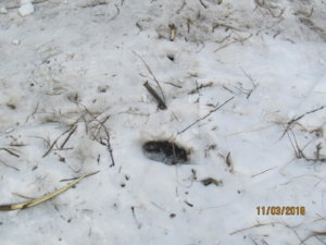 IMG_0135.JPG