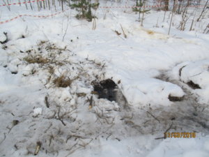 IMG_0136.JPG