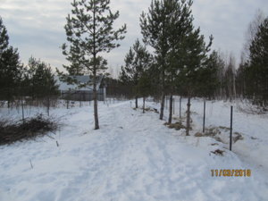 IMG_0140.JPG