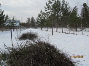 IMG_0141.JPG