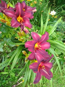 IMG_20170814_131430.jpg