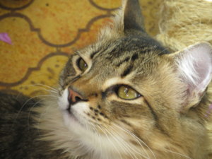 IMG_5394.JPG