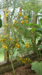 20160806_114751.jpg
