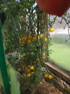 DSCF5739.JPG