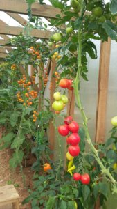 20160911_154830.jpg