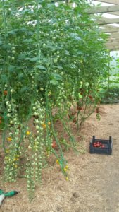 20170804_095034.jpg