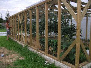 DSCF2824.JPG