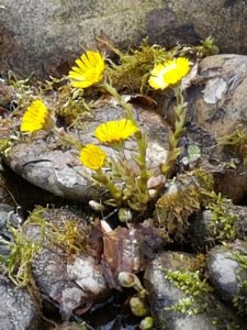 20170414_122404.jpg