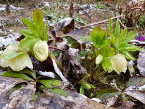 20170501_084204.jpg