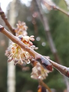 20170501_083709.jpg