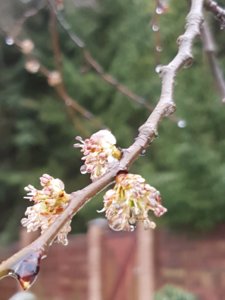 20170501_083719.jpg