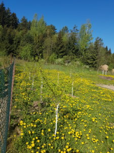 20170520_085800.jpg