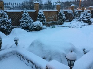 4BFA8EB8-9178-473B-9129-8F60F153EFB9.jpeg