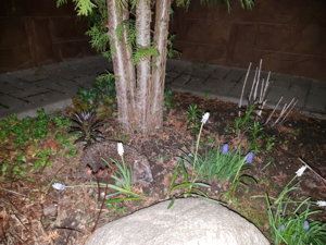 20170508_234740.jpg