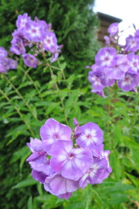 IMG_6679.JPG