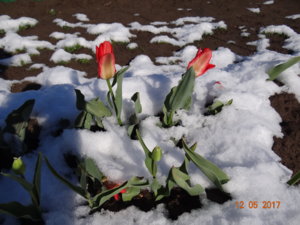 DSC03910.JPG