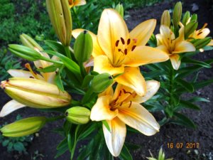 DSC04111.JPG
