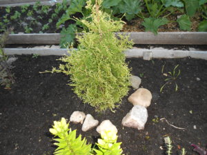 DSCN0837.JPG