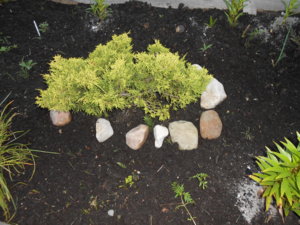 DSCN0838.JPG