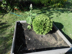 DSCN0864.JPG