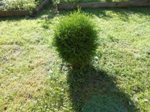 DSCN0875.JPG