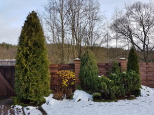 20171202_132344.jpg