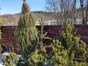 20180324_111755.jpg