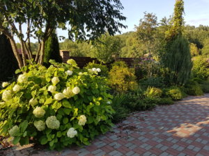 20170830_175004.jpg