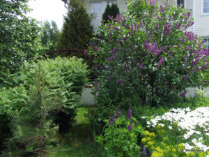 DSCF3789.JPG