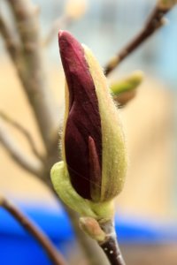 IMG_4391.JPG