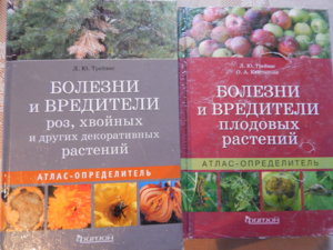 DSCN5256.JPG