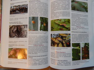 DSCN5259.JPG