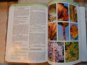 DSCN5262.JPG