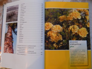 DSCN5264.JPG