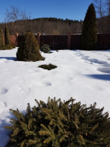 20180329_103712.jpg